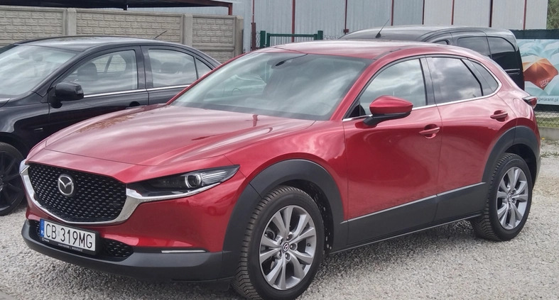 Mazda CX-30 cena 112600 przebieg: 37000, rok produkcji 2020 z Chełmno małe 67